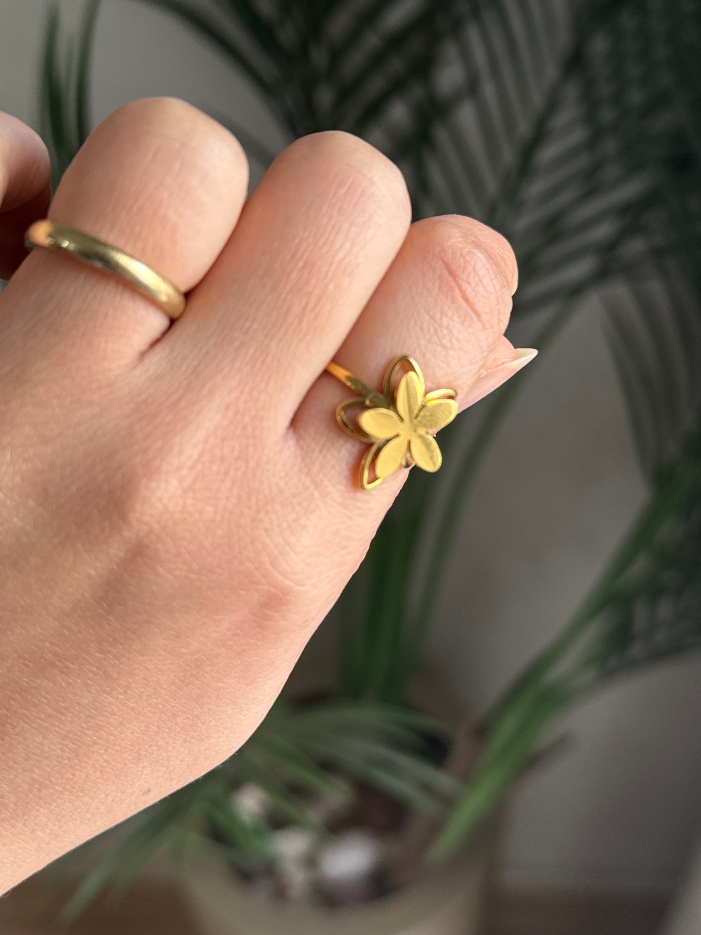 Stainless Steel Ring 5