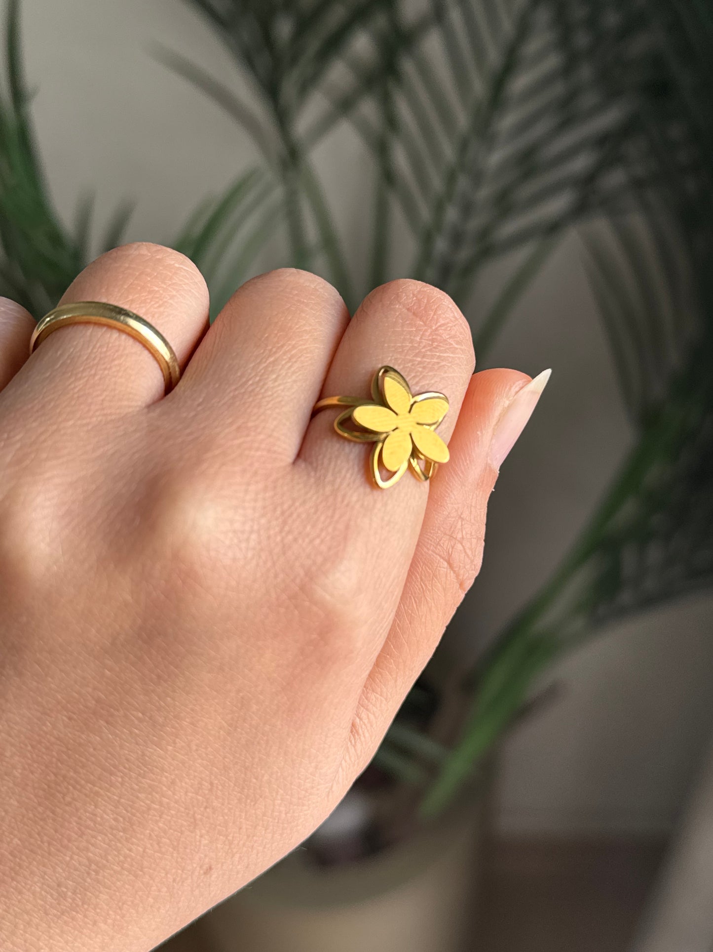 Stainless Steel Ring 5