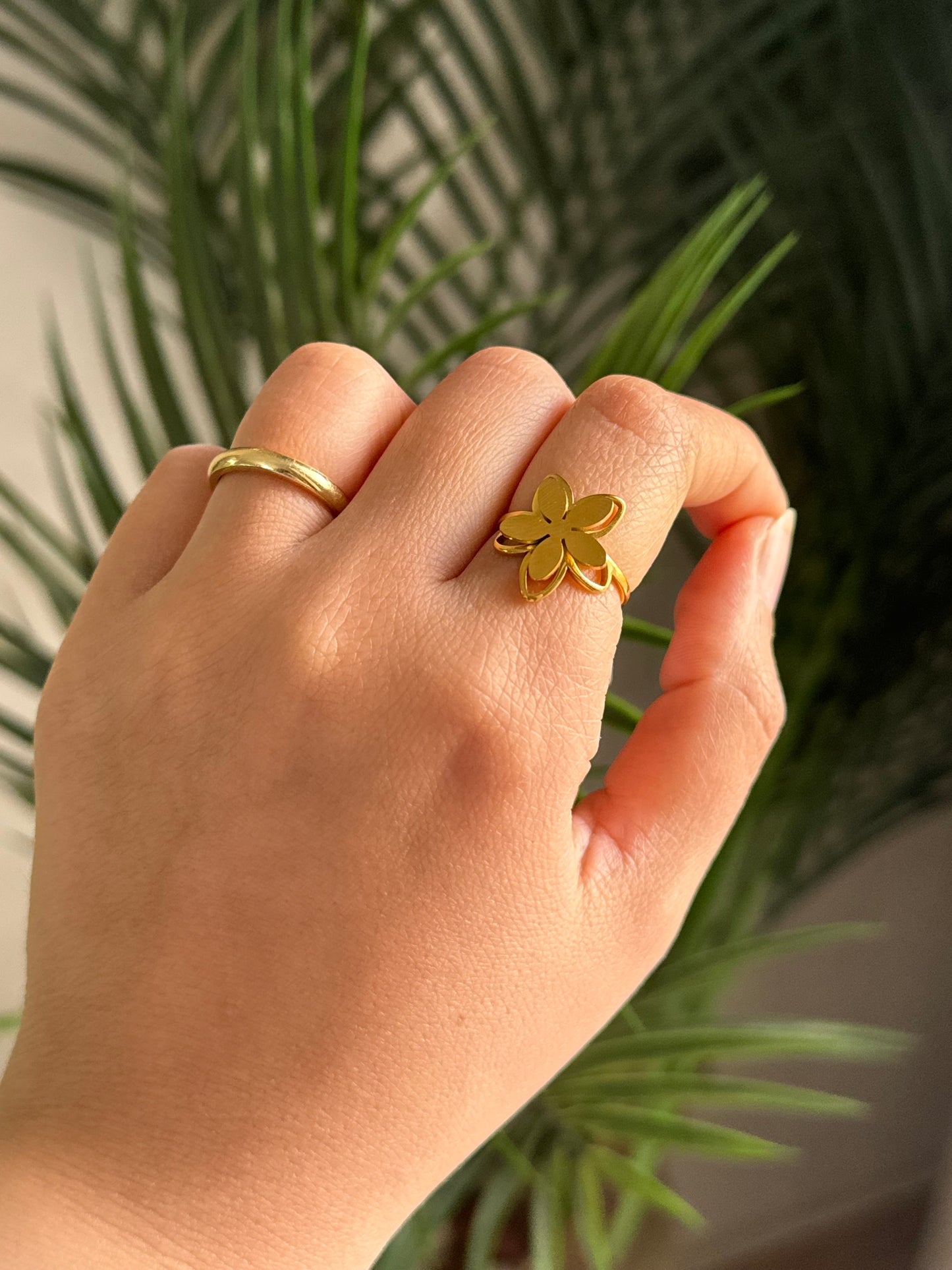 Stainless Steel Ring 5
