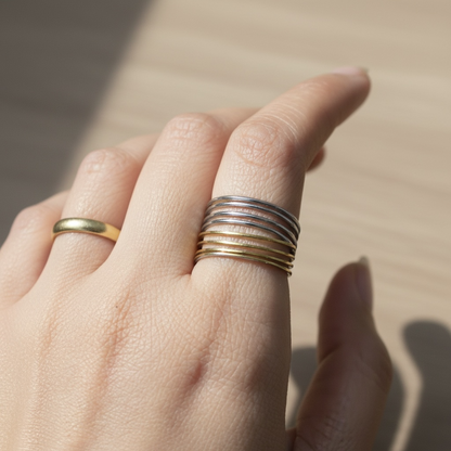 Two Tone Stainless Steel Ring