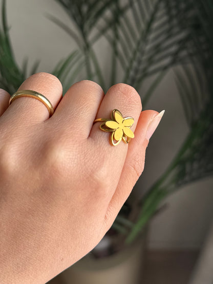 Stainless Steel Ring 5